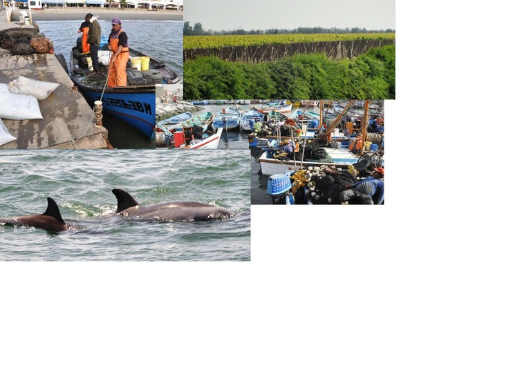 Fisheries and ecosystem in Paracas - Ica.