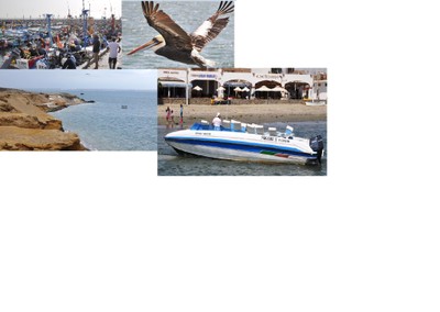 collage 3