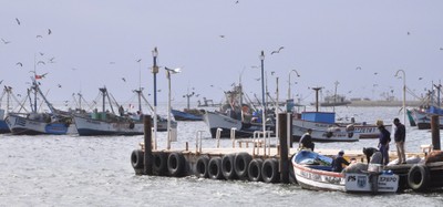 Offloading shellfish