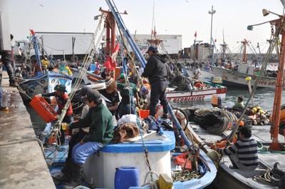 Pescadores artesanales en acción