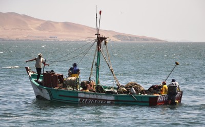 Barco anchovetero con carga