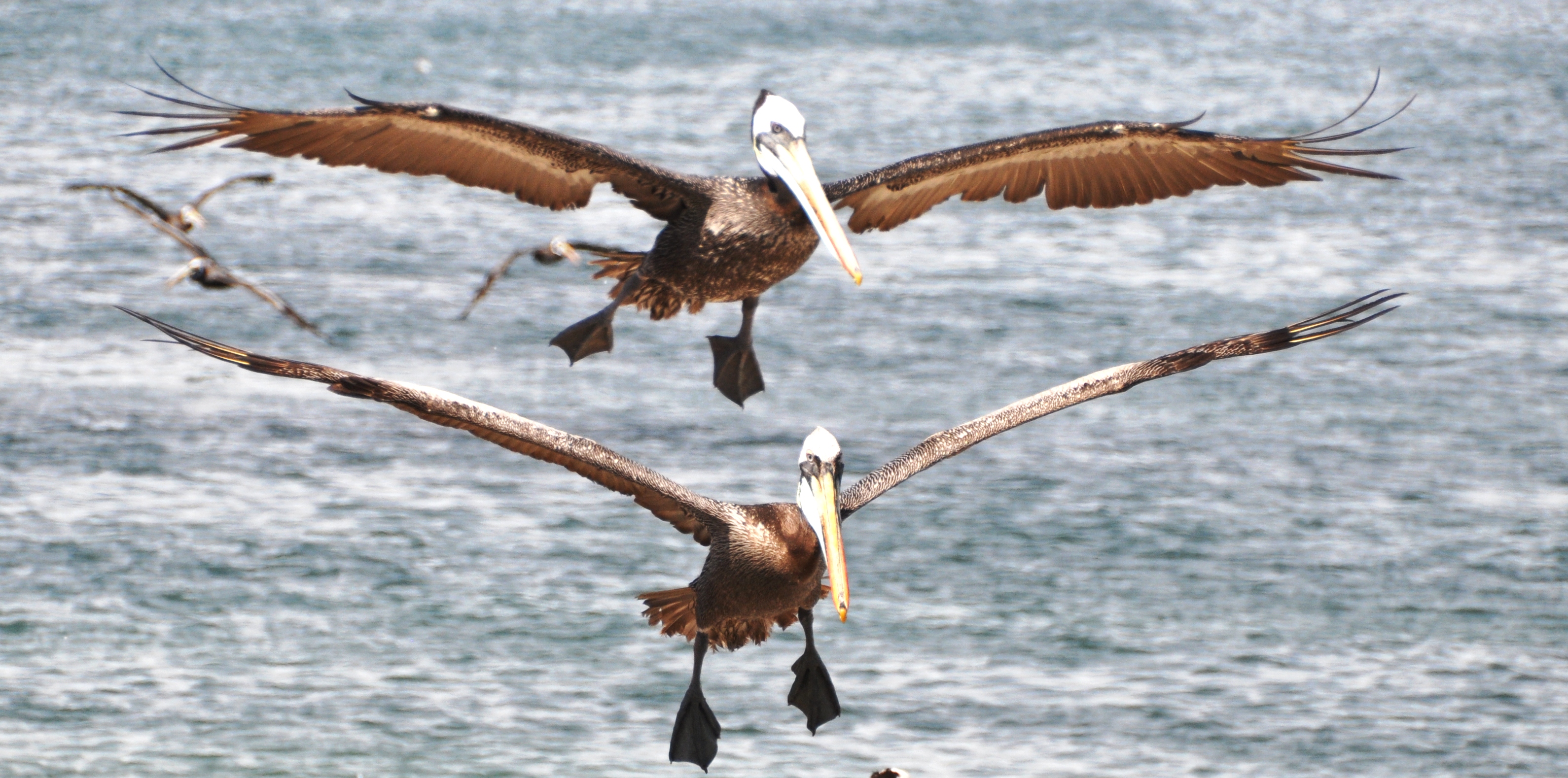 Vuelo tandem