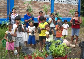 PROMULGAN POLÍTICA NACIONAL PARA FORTALECER LA EDUCACIÓN AMBIENTAL EN EL PERÚ