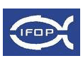 images-IFOP.gif