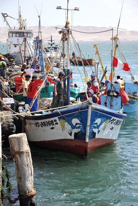 priority intervetions